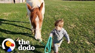 Horse Comes Running When Little Boy Calls Her Name | The Dodo Soulmates