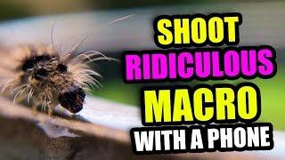 RIDICULOUS Macro Photos With your Phone