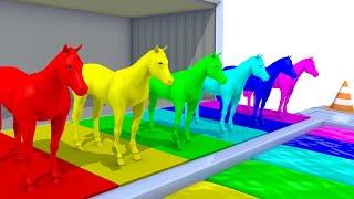 Learn Colors with  Horses  Water Slide Colors for Kids Nursery Rhymes for Children