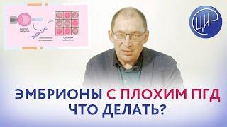 Эмбрионы с плохим ПГД, что делать? Митотический мозаицизм. ЭКО. Отвечает Гузов И.И.