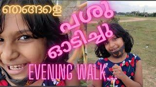 Evening Vlog|Thumbiyum Njangalum