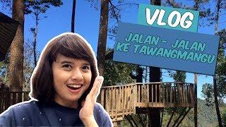 VLOG | TRIBUNTRAVEL WISATA TAWANGMANGU KARANGANYAR