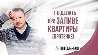 Что делать при заливе квартиры (протечке)?