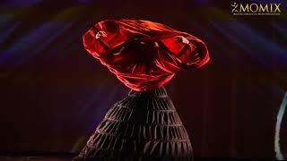 See MOMIX: Alice at Wharton Center