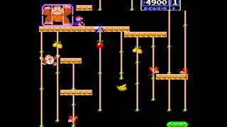 Arcade Game: Donkey Kong Junior (1982 Nintendo)
