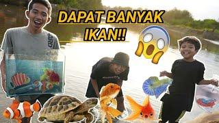 BERBURU IKAN CUPANG GALAXY, IKAN HIAS DAN KURA KURA DIPENGAIRAN, BOCIL DAPET BANYAK! | Mikael TubeHD