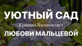 УЮТНЫЙ САД ЛЮБОВИ МАЛЬЦЕВОЙ | Крапива Вдохновляет