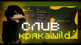 Слив БЕСПЛАТНОГО ЧИТА WILD CLIENT для Funtime Reallyworld Holyworld