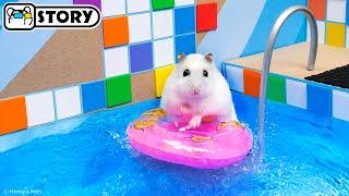 The Awesome Hamster Ball Pool Maze  Homura Ham Pets