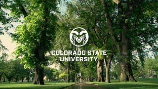 Colorado State University: Together. We Continue.