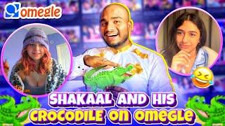 OMEGLE - WHAT HAPPEN WHEN SHAKAAL FOUND HIS VALENTINE ON OMEGLE  | NIGHTPRASH