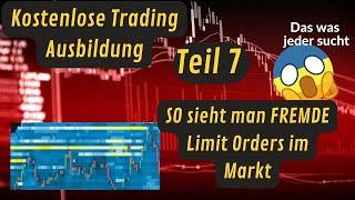 KOSTENLOSE Trading AUSBILDUNG Teil 7: Orderflow Heatmap / Bookmap (So sehen wir fremde Limit Orders)