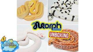 Morphmarket Snake  Unboxing 2021