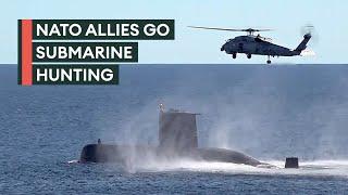 Submarines take turns to hunt and be hunted in Nato warfare exercises