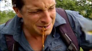 Bear Grylls isst riesige Made - Ausgesetzt in der Wildnis