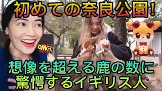 初めての奈良公園！想像を超える鹿の数に驚愕するイギリス人 Squishy Talk’s First Time in Nara Park! - reaction video