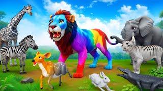 The Evil Lion Magical Color Transformation | Wild Animal Adventure | Cartoon Videos 2024