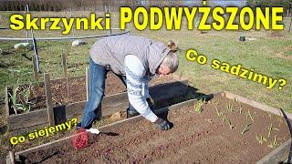 Co posadziliśmy w SKRZYNKACH PODWYŻSZONYCH? Co posialiśmy w warzywnych GRZĄDKACH PODNIESIONYCH?