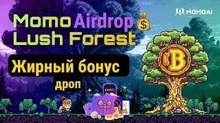  СРОЧНО  Momo Ai НЕ УПУСТИ СВОЙ ШАНС ЗАБРАТЬ ЖИРНЫЙ БОНУСНЫЙ ДРОП | MomoAi airdrop |crypto airdrop