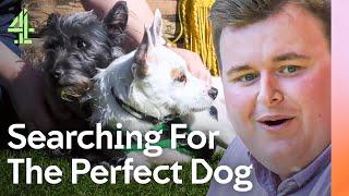 Finding the IDEAL Dog | The Dog House | Channel 4