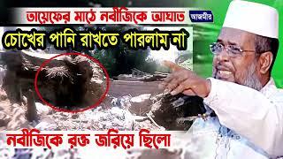 তায়েফের মাঠে নবীজিকে আঘাত চোখের পানি রাখতে পারলাম না । তোফাজ্জল হোসেন ভৈরবী । tofazzal hossain |