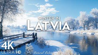 Winter Latvia 4K UHD  Enchanting Winter, Scenic Relaxation Film With Piano Relaxing Music