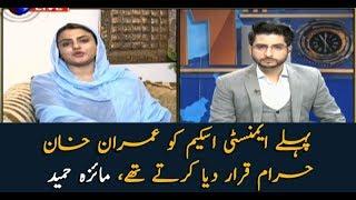 PM Imran Khan used to declare the amnesty scheme prohibited: Maiza Hameed