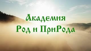 Родовые истоки. Академия Род и Природа. Ведическая Академия. Олег Геннадьевич Паньков.