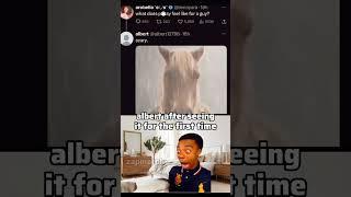 Albert is afraid of cats  #memes #funny #memesof2024 #2025 #viral #fyp