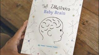 The Baby Brain
