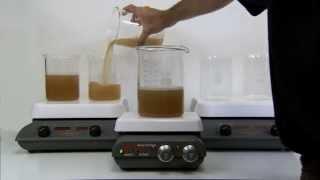 Demonstration: Polyclar™ Brewbrite clarifier and stabilizer for beer