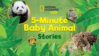 5-Minute Baby Animal Stories | National Geographic Kids