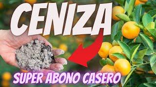 ⭐ CENIZA Abono para Floración y Crecimiento  Fertilizante Casero Orgánico para Frutales y Flores