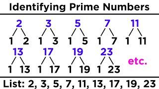 Divisibility, Prime Numbers, and Prime Factorization