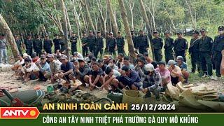 Xóa sổ 'trường gà cựa' khủng nằm sát vùng biên ải ở Tây Ninh | An ninh toàn cảnh ngày 25/12 | ANTV