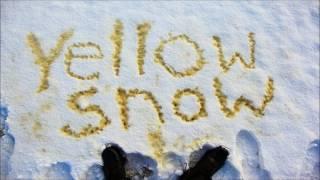 FRANK ZAPPA * Don't Eat The Yellow Snow  1974    HQ