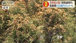 花粉症の薬を保険適用外で・・・年間600億円医療費削減(19/08/23)