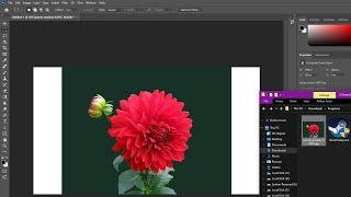 Photoshop drag and drop not working FIX (Adobe Photoshop 2022)