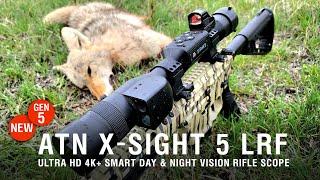X-Sight 5 LRF Daytime Coyote Hunting Video