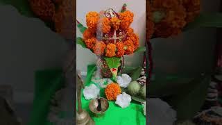 Hariyali Teej Pooja !! #trending #hariyaliteej #jhula_jhul_rahi_sab_sakhiyan