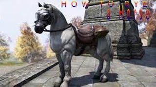 eso | how to get  a horse