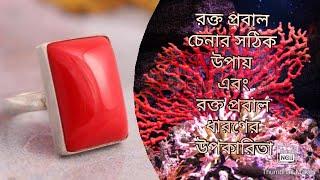 Red Coral/Moonga Stone/Rakta Prabal Uses And Benefits /Oxblood Red Coral/Original Italian Red Coral