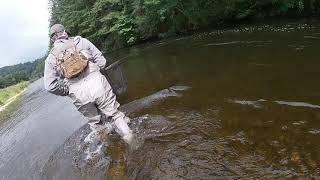 River Tweed Fly fishing