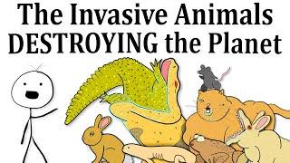 The Invasive Animals Destroying the Planet