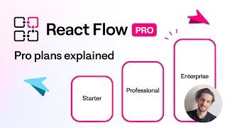 React Flow Pro plans explained