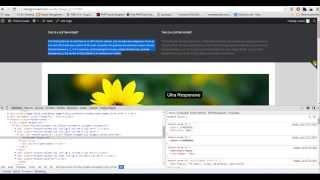 Avada Wordpress Tutorial Complete Customization