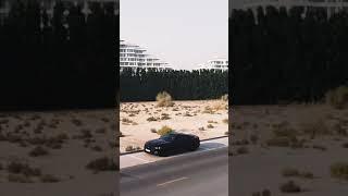 Mustang | 360