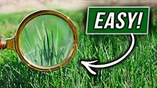 Identify your Grass Type FAST!