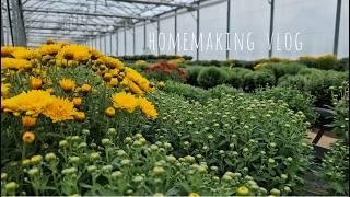 Gardening shop, root vegetable sauce, making a kid's hideout, millet cake  | Homemaking vlog