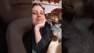 Dog gets awkward when kissed  (: ViralHog)